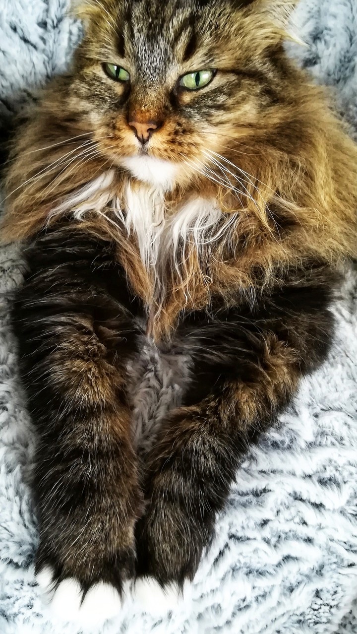 Sita