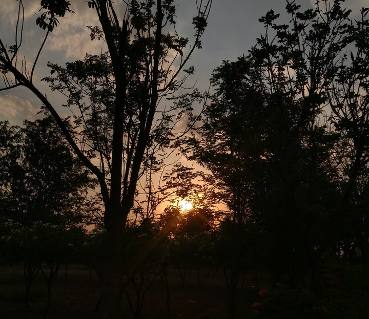 Nature beauty