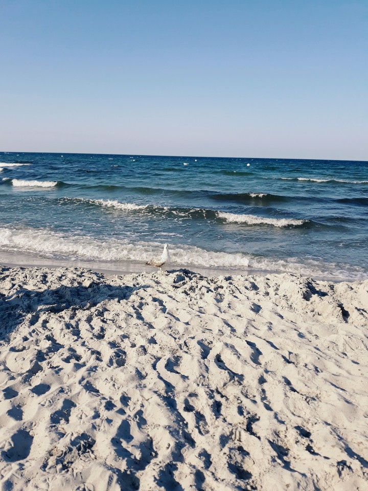 Море