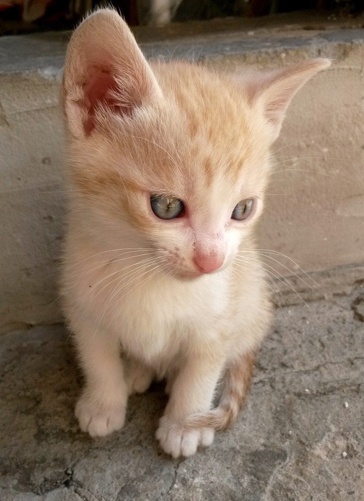 Lokii ♥