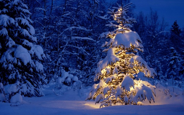 Christmas Winter