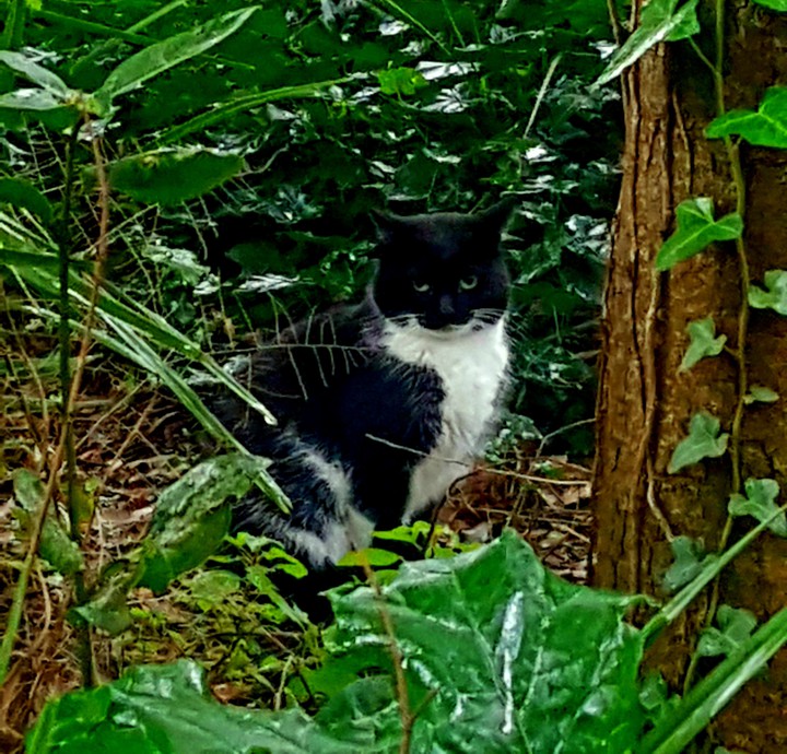 black and white