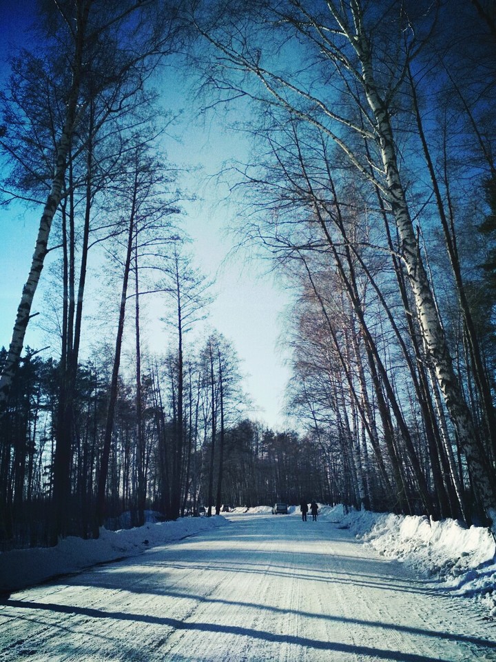 Winter Nature