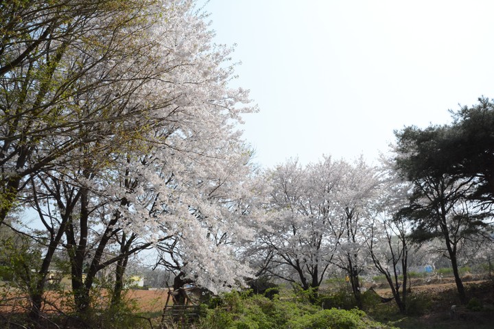 풍경이미지