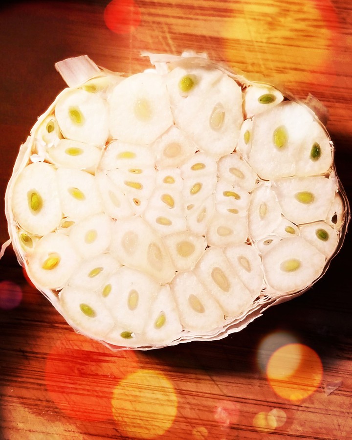 Garlic
