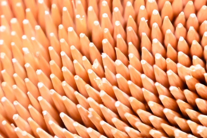 .....