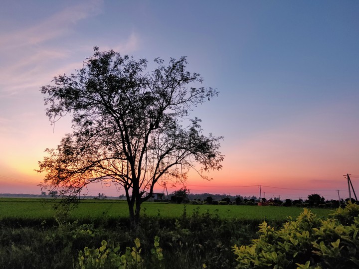 Evening Vibes..