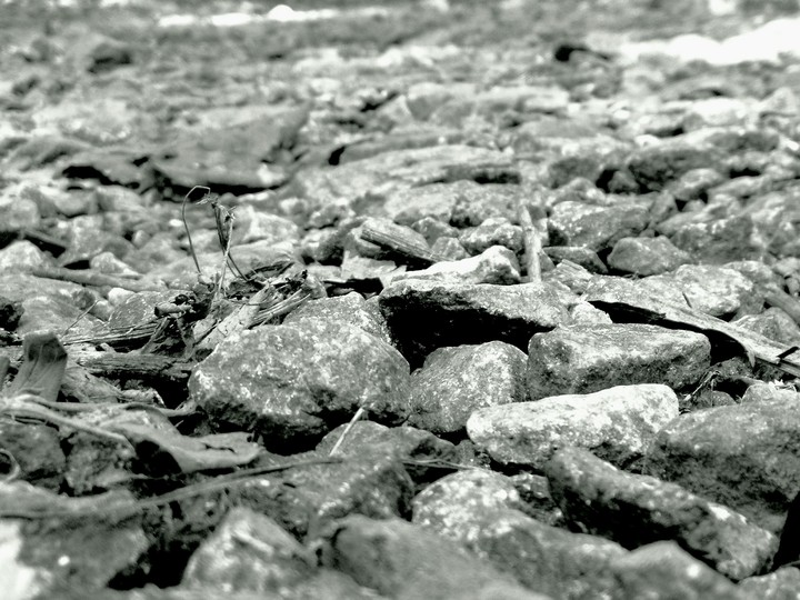 black and white
