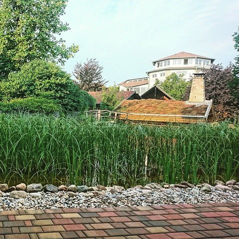 relaxing time