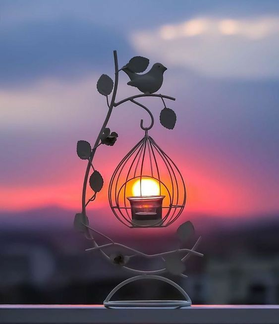 caged..?
