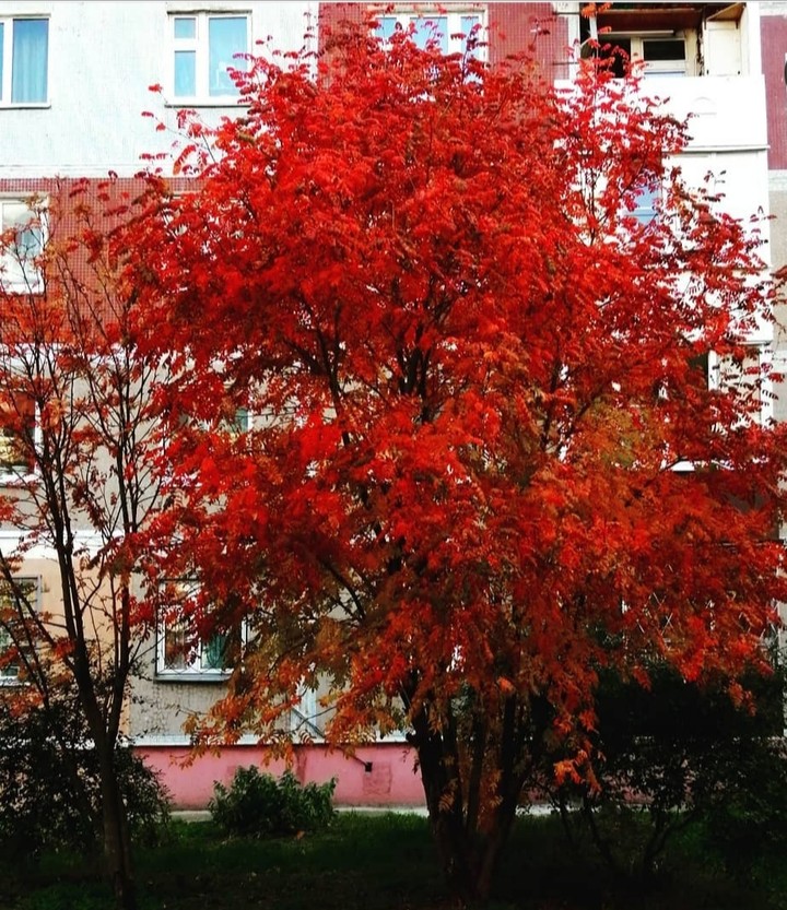осень