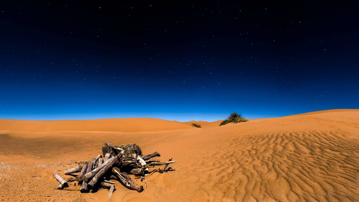 sahara desert