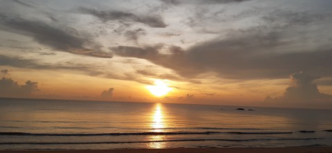 Morning view