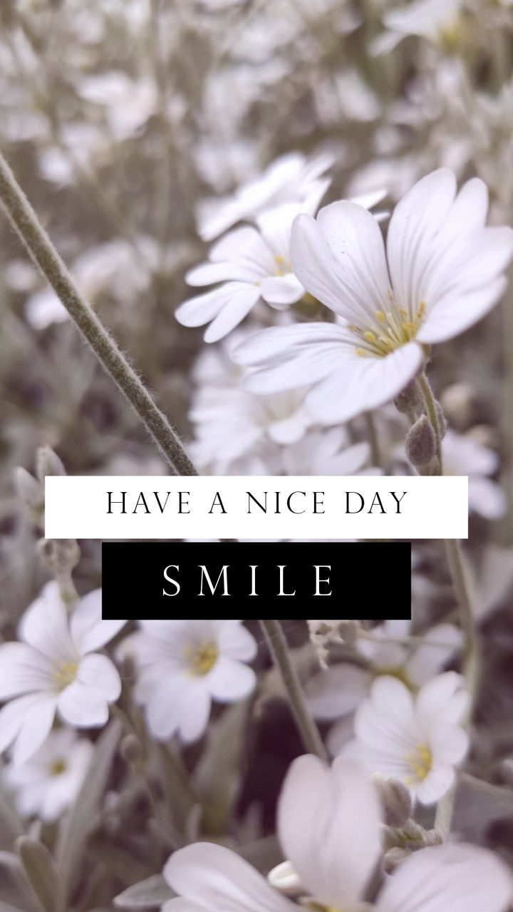 hello
