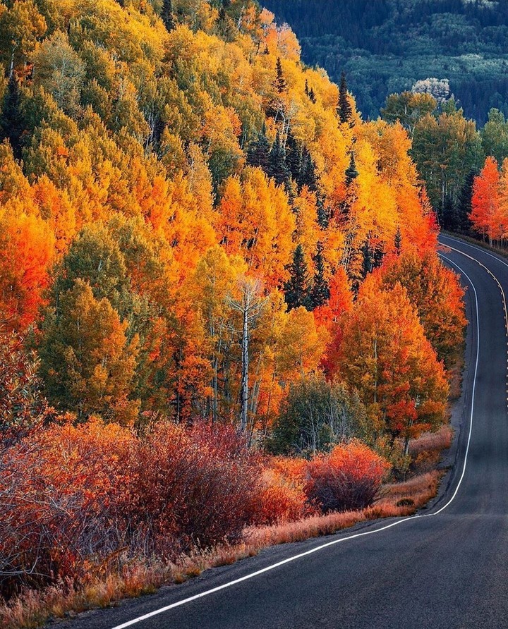 #autumn