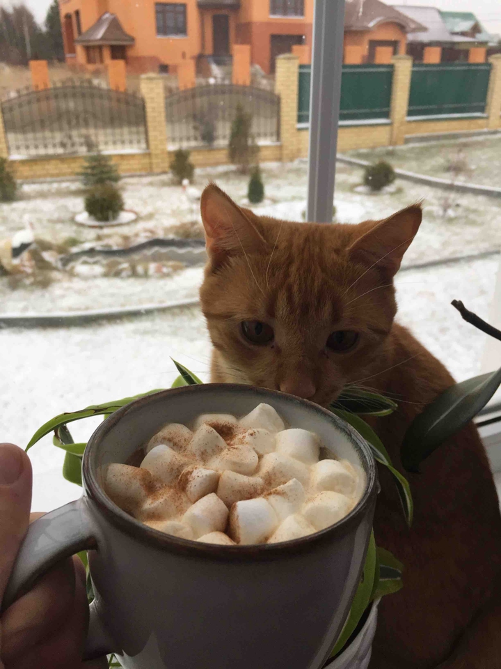 уют