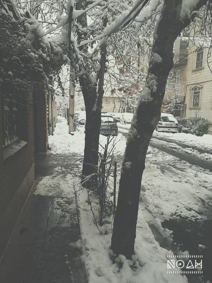 snow