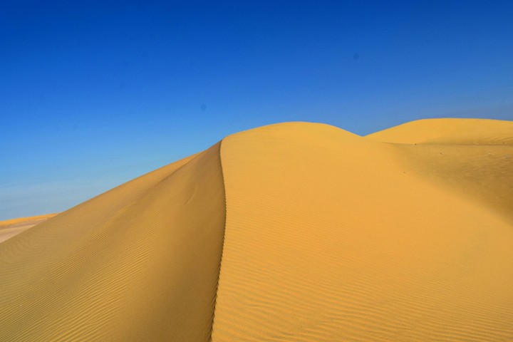 Desert