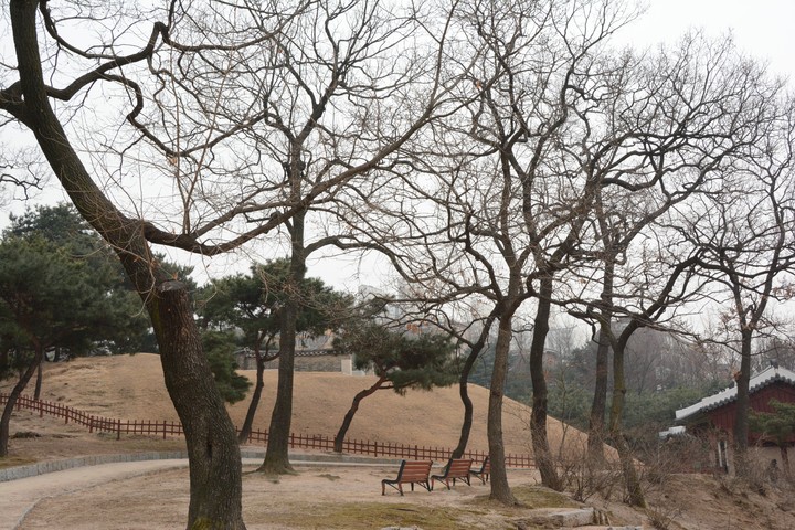홍릉이미지