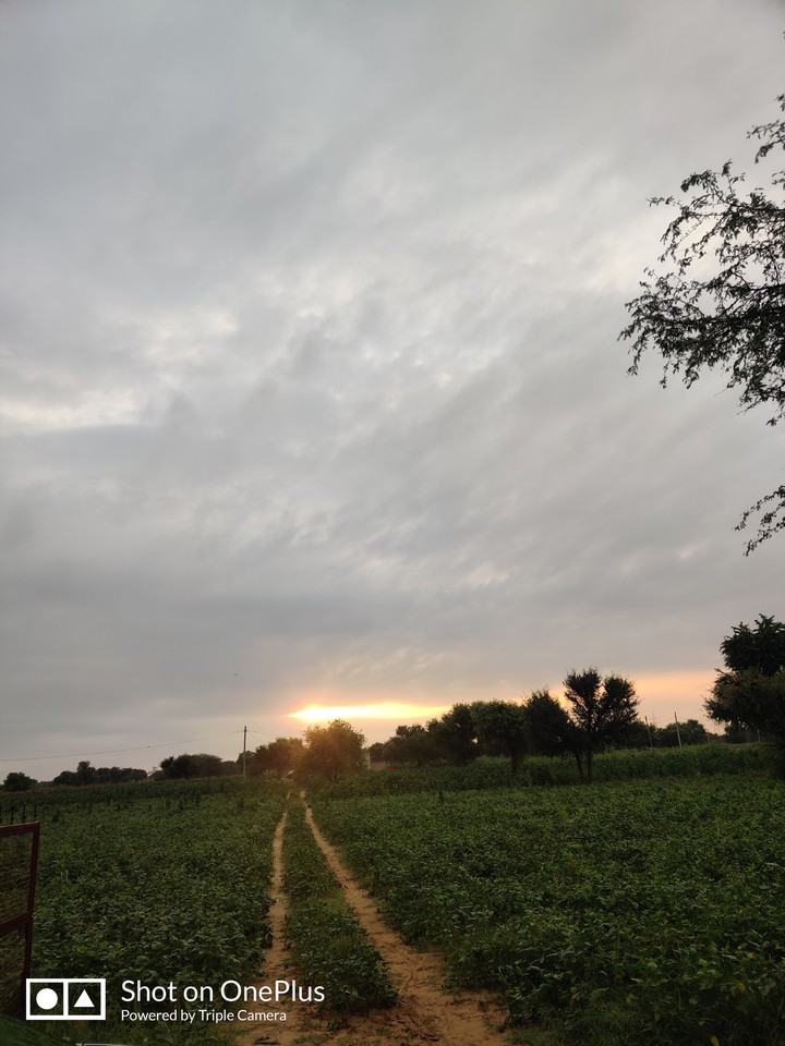 nature beauty