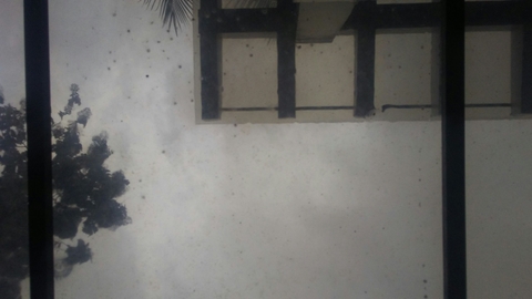 Monsoon rain