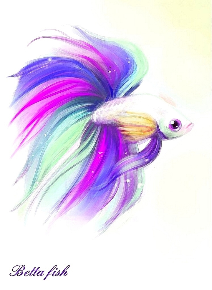 Betta fish