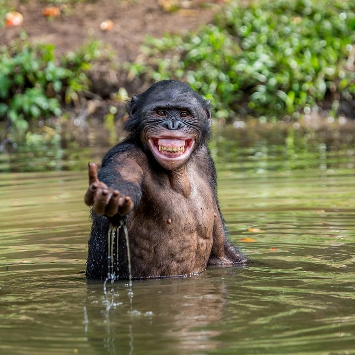 "Come on, get in the water is so nice" ??