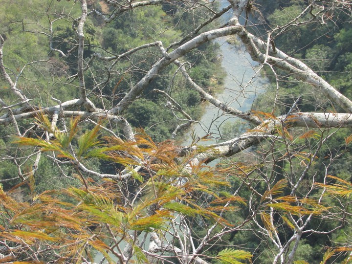 Rio em Bonito