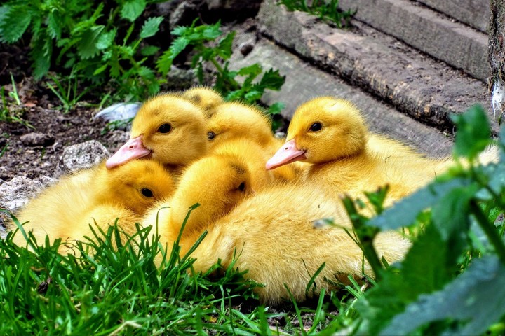 So cute...