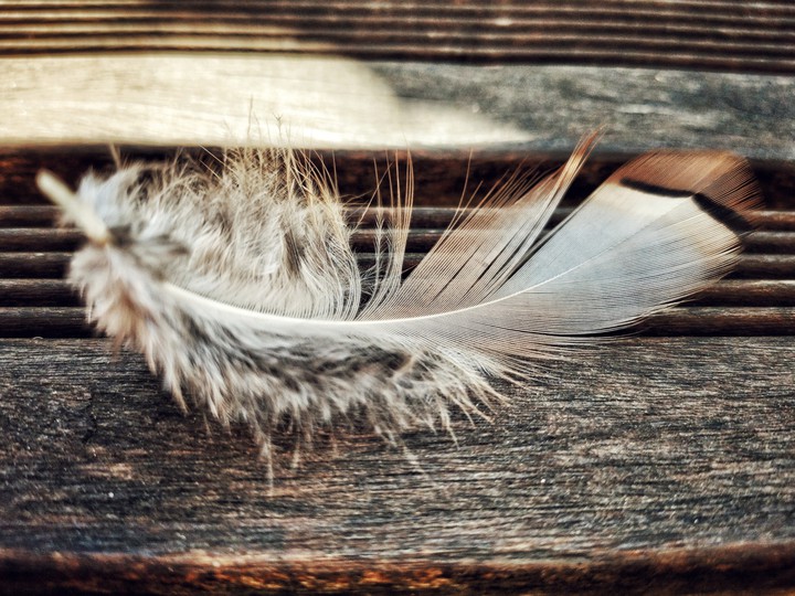 Lightness