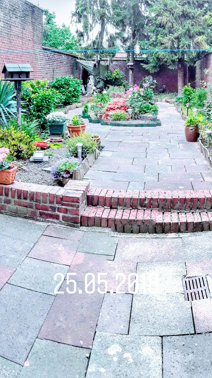 Mein Garten