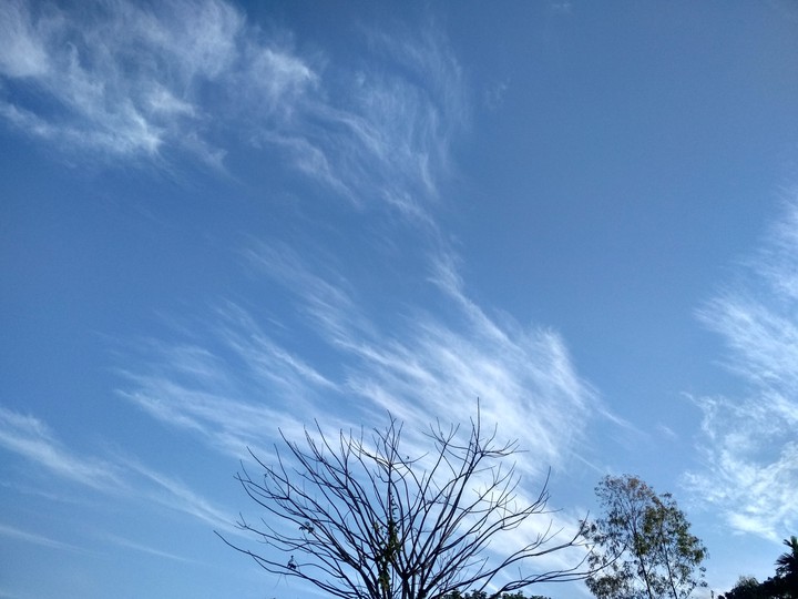 blue Sky