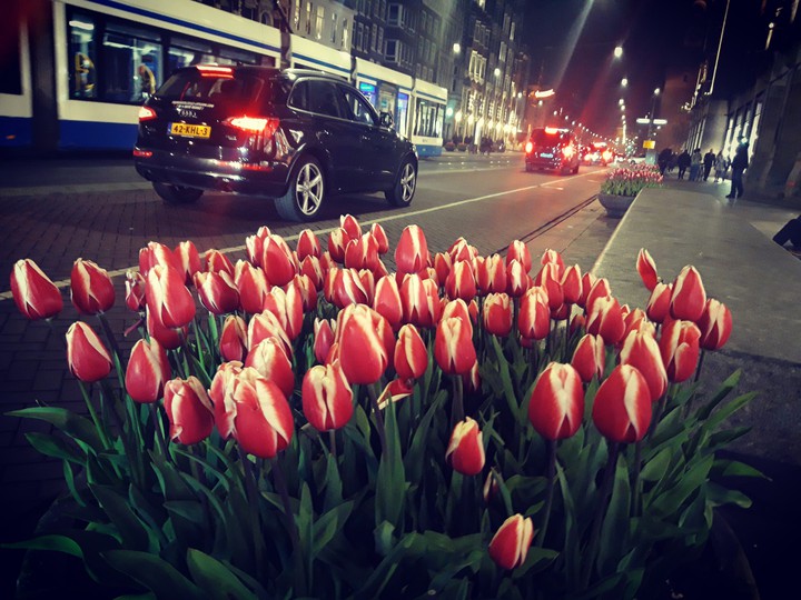 Amsterdam