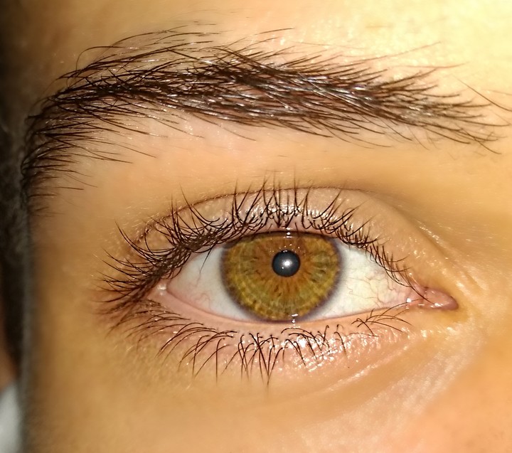 eye