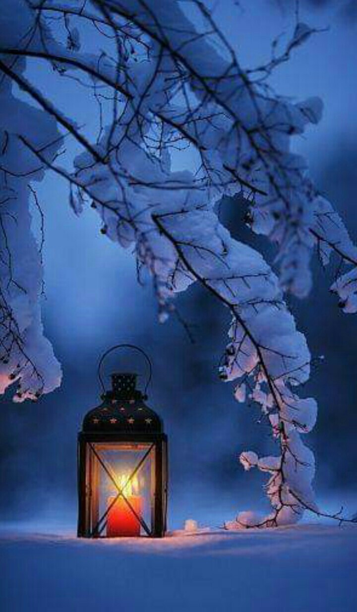 winter