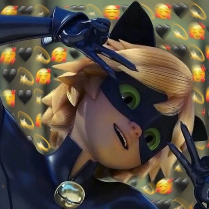 New Pfp