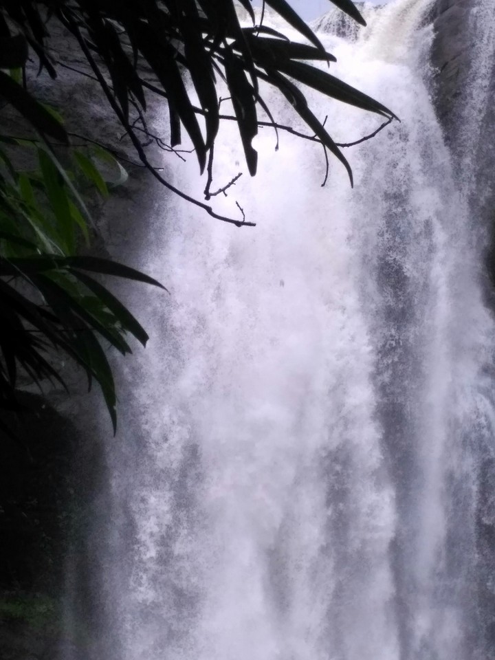 Flow of Nature