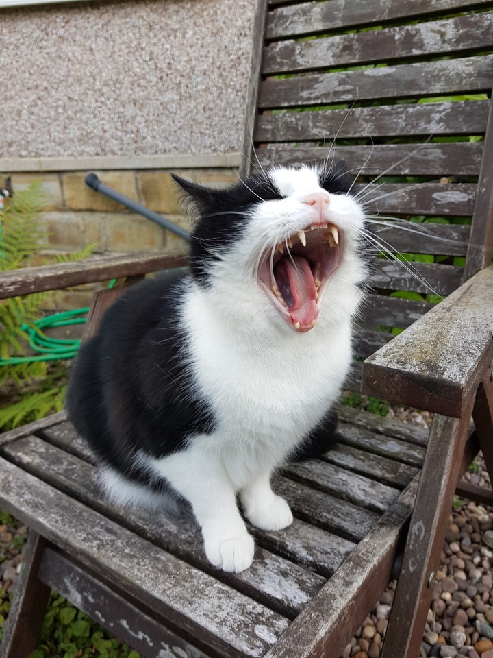 Sing!
