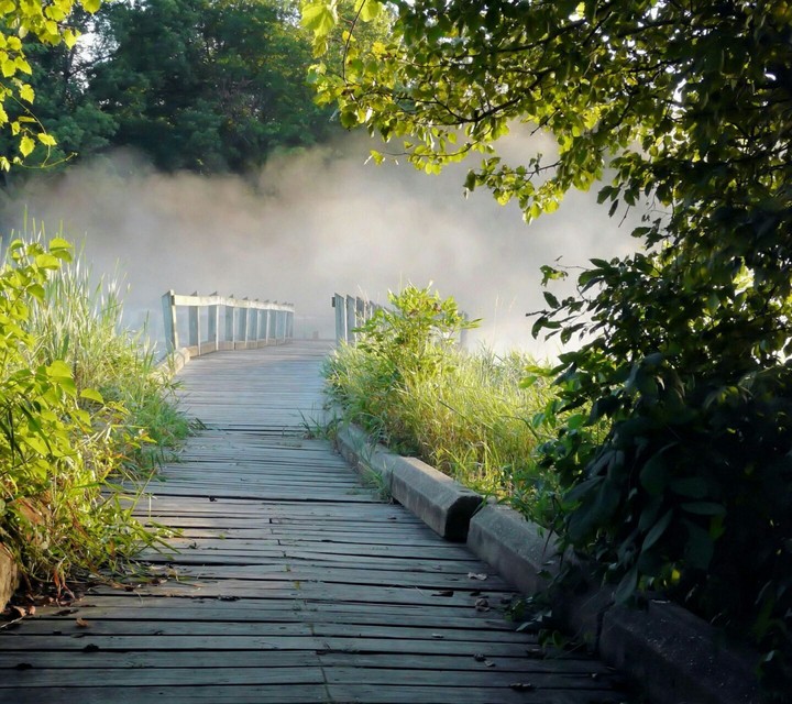 Walkway