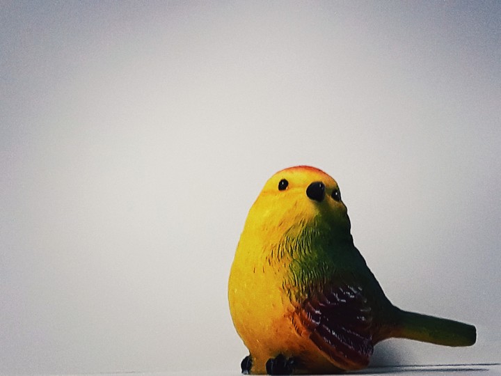 새