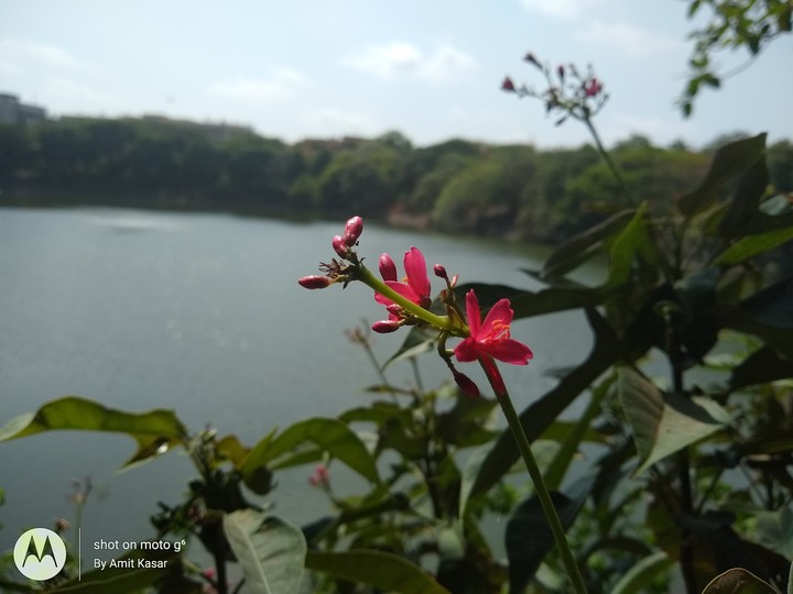 seepz lake
