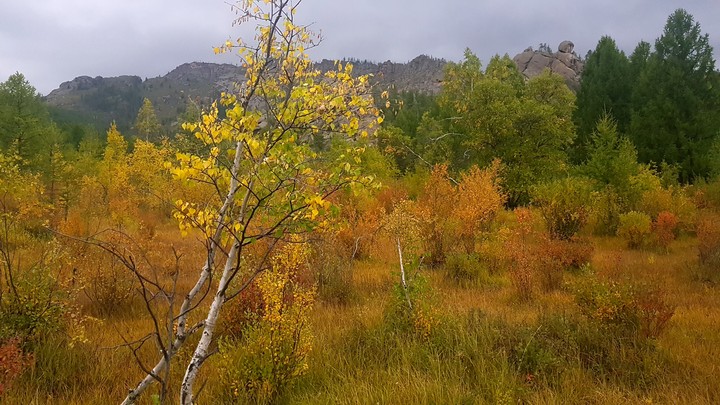 autumn