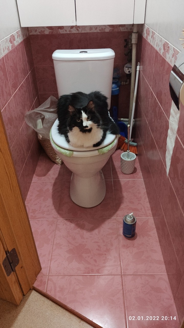 .