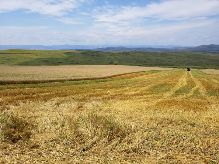 crops on hills