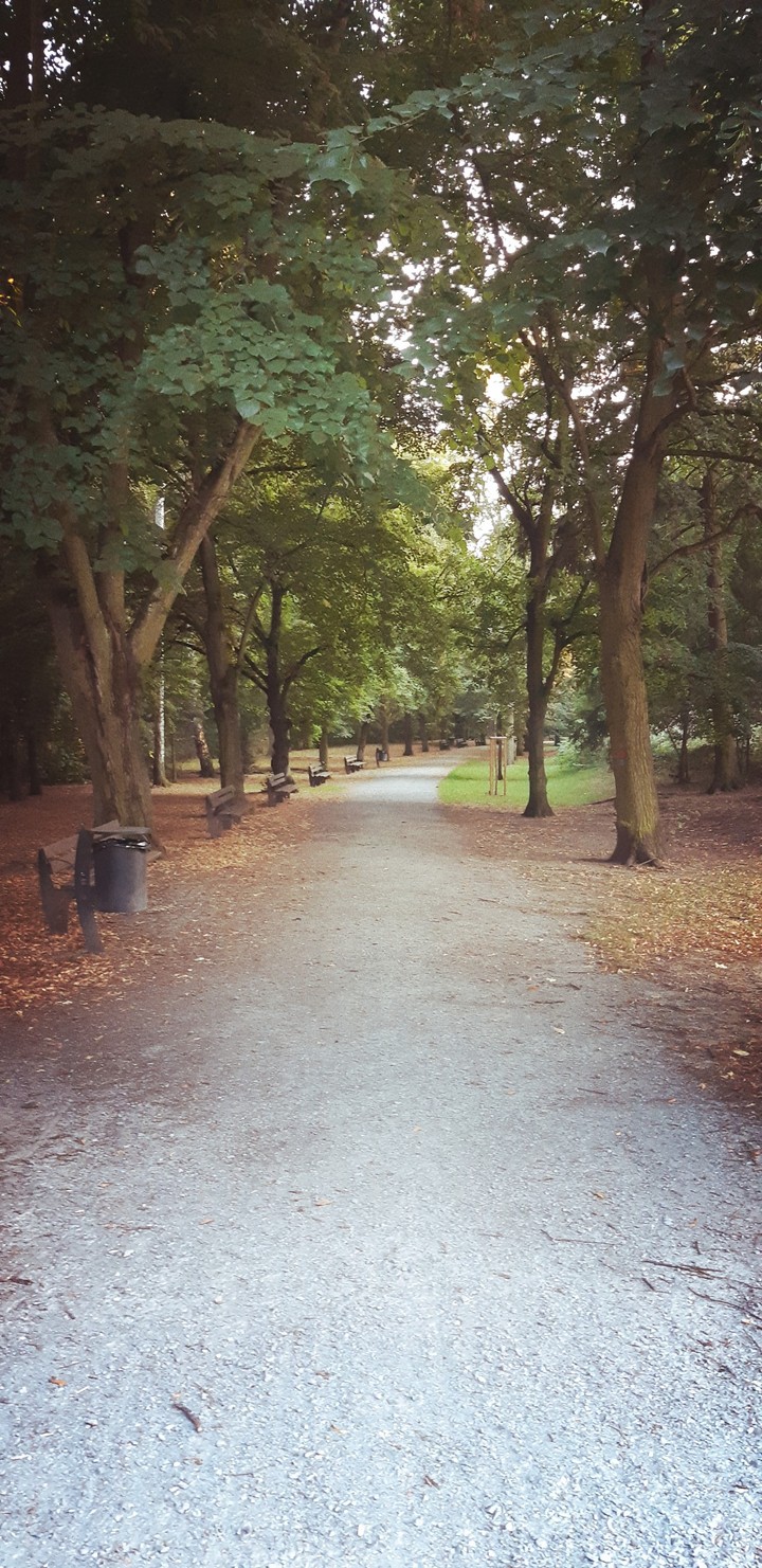 Borský park