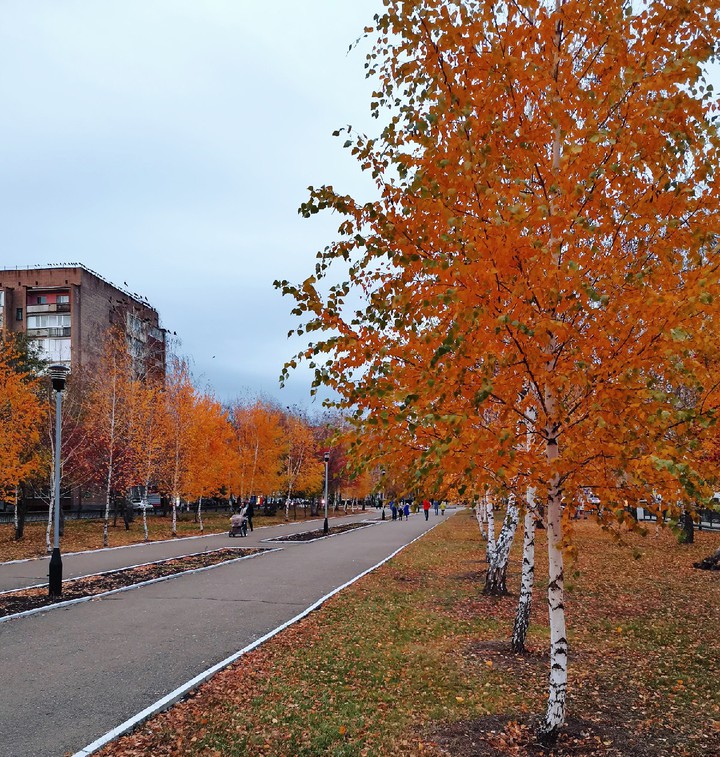 осень