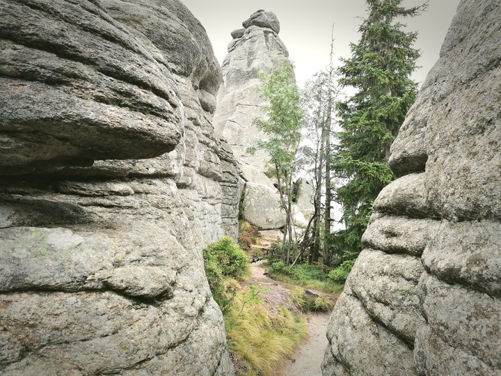 Karkonosze