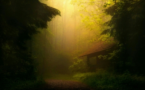 Green night
