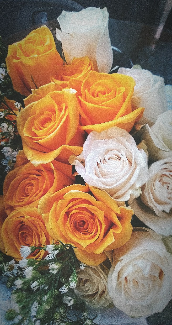 rose yellow