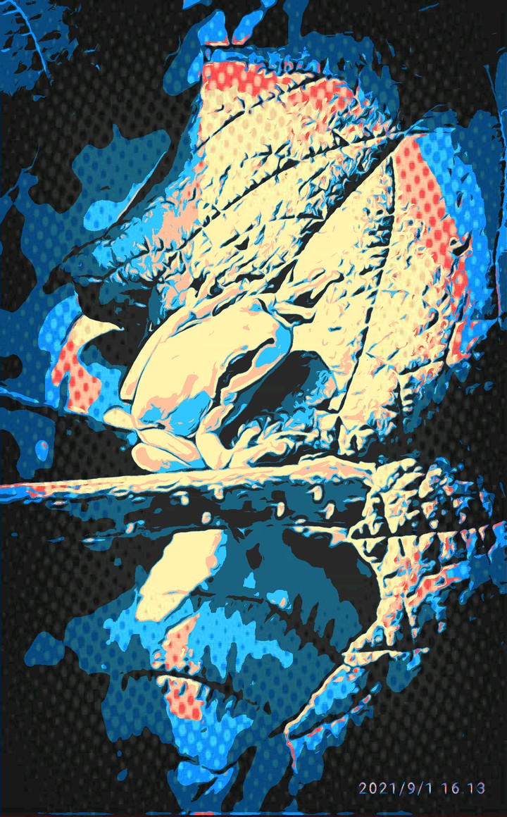 new background